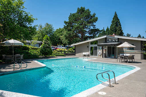A swimming pool surrounded by trees and a building in the background.