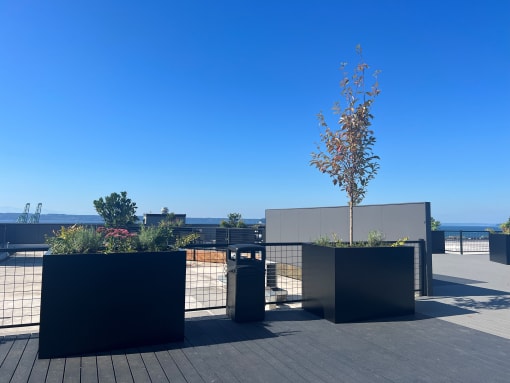 a view of the ocean from a deck with planters and a tree