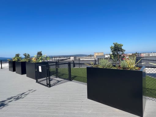 a view of the top of a roof deck with black fence and plants
