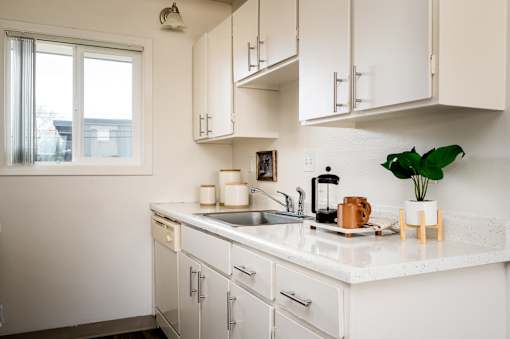 A kitchen with white cabinets and a white countertop with a sink and a plant on it.
