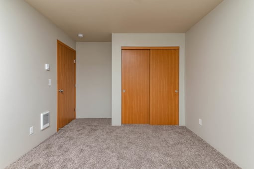 Bedroom entrance and closet