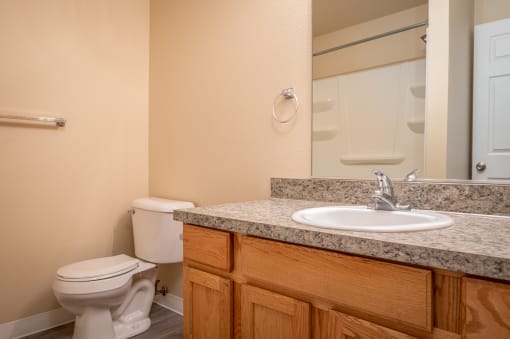 a bathroom with a sink toilet and mirror