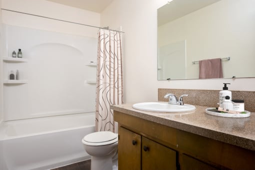 a bathroom with a sink and a toilet and a shower