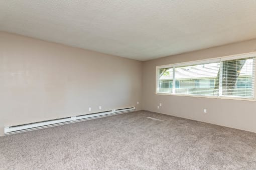 Spacious Living Room