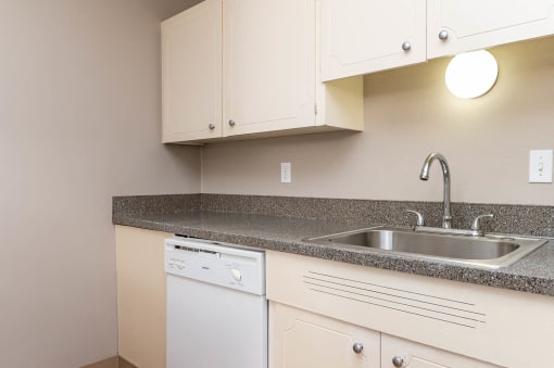 Kitchen with stainless steel sink and white dishwasher