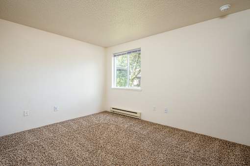 A room with a window and a carpeted floor.