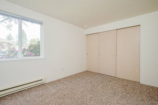 A room with a carpeted floor, two closet doors, and a window with a view of a garden outside.