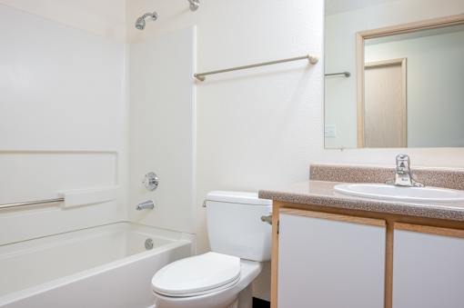 A white toilet sits next to a bathtub in a bathroom.