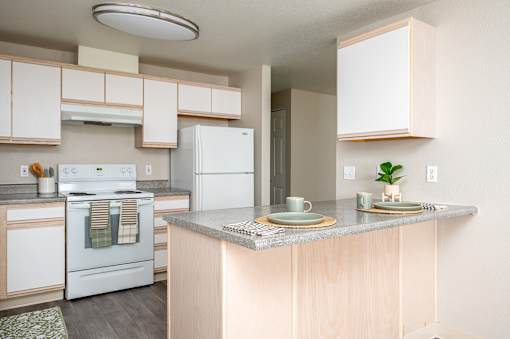 Twin Creeks | Kitchen