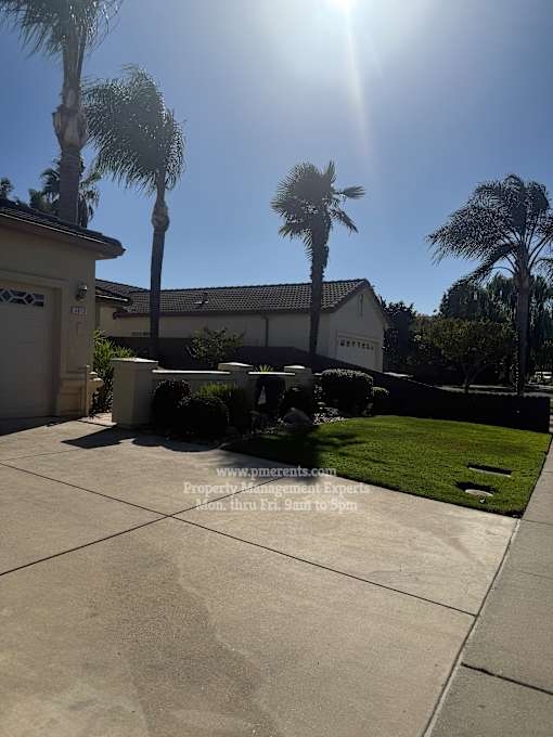 A sunny day with palm trees and a house in the background.