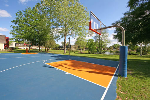 LEAVE IT ON THE COURT