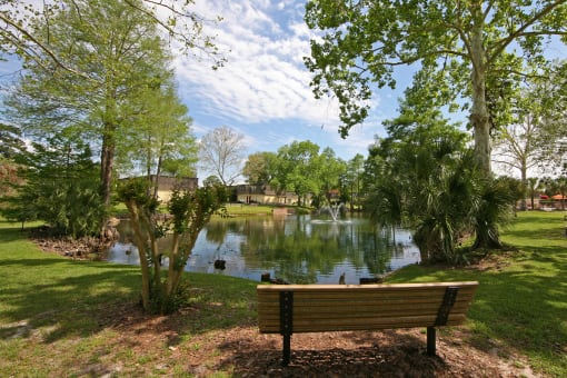 READ A BOOK BY THE POND