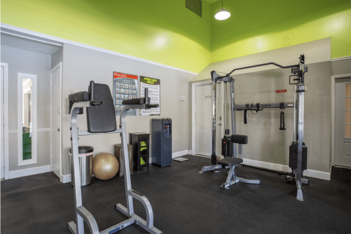 GYM THERAPY