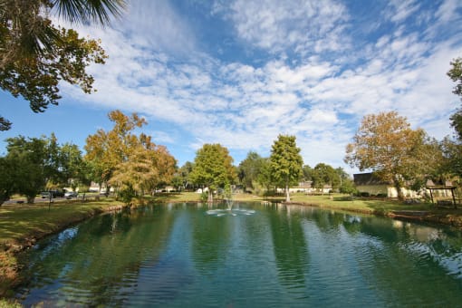 TAKE A STROLL AROUND THE LAKE