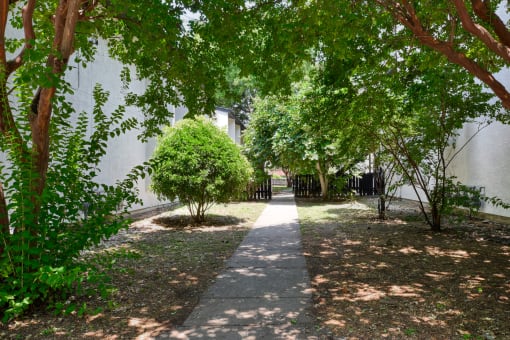 a walkway with trees and a building on the side