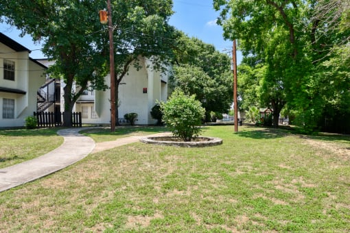 a tree in the middle of a yard in front of a building
