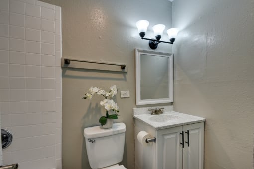 a small bathroom with a toilet and a sink and a mirror at The Crossings at Montrose Apartments, San Antonio, TX, 78223