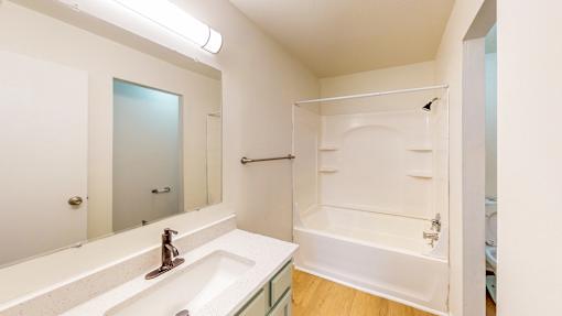 a bathroom with a sink and a shower and a mirror