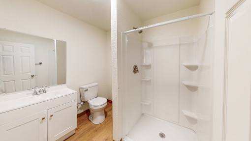 a bathroom with a shower and a sink and a toilet