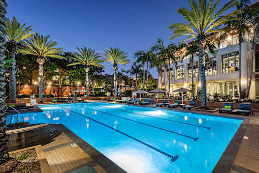 A large swimming pool surrounded by palm trees at night.