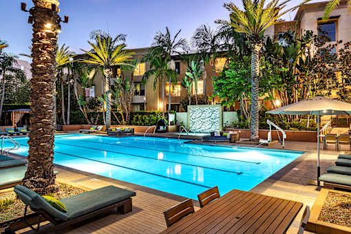 A pool surrounded by palm trees and deck chairs.