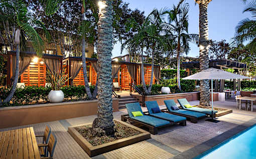 A poolside area with lounge chairs and a palm tree.
