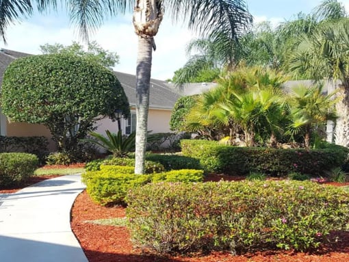 Courtyard Garden Space at Savannah Court of Brandon, Brandon, FL