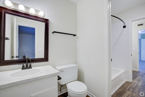 a bathroom with a sink and a toilet and a mirror