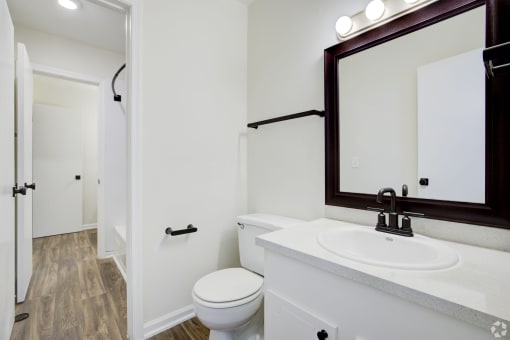 a bathroom with a sink and a toilet and a mirror