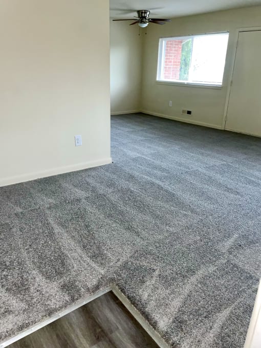 an empty room with a carpeted floor and a window