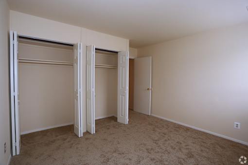 A room with a carpeted floor and white walls, with three open closet doors.