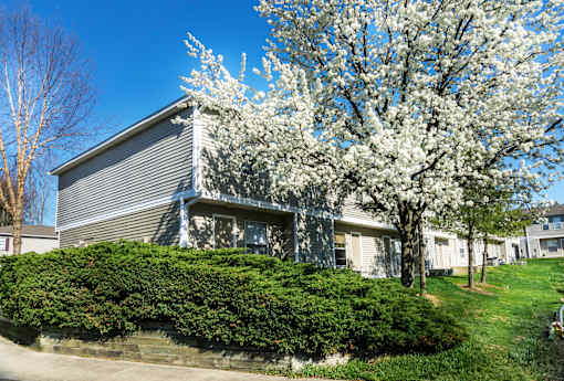 A house with a tree in bloom in front.