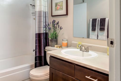a bathroom with a sink and a toilet and a shower