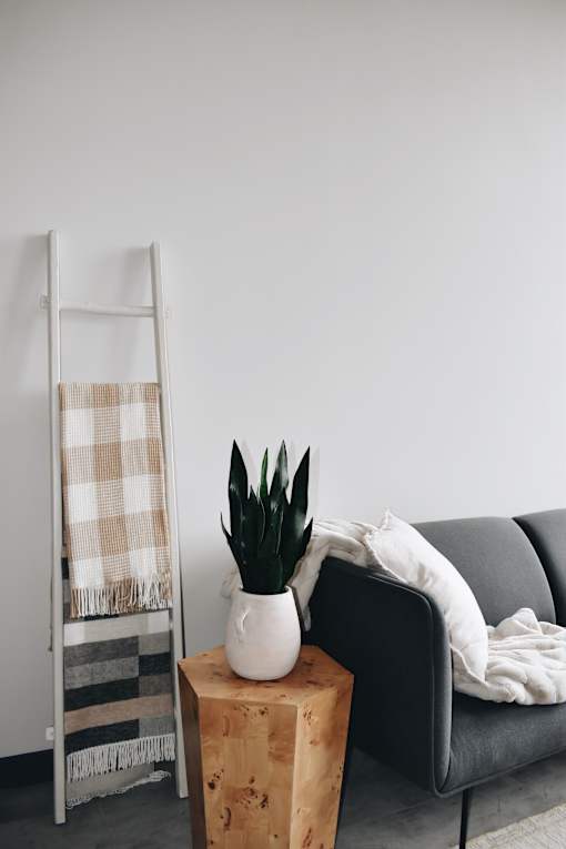 A plant sits on a wooden block next to a grey couch.