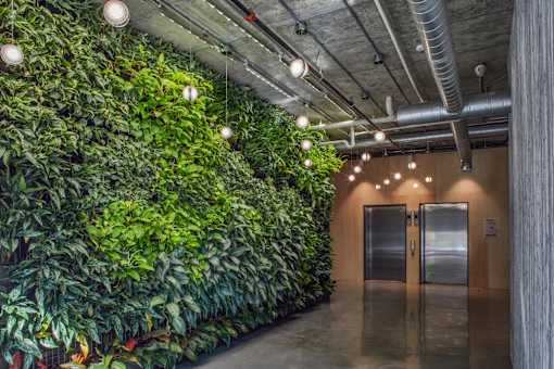A green wall of plants lines a hallway at The Anthem at Square 10 Apartments, New Haven, Connecticut