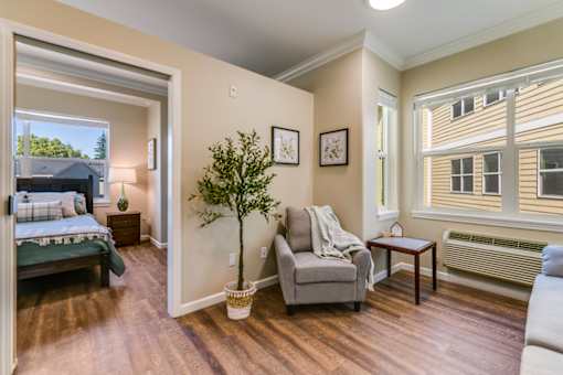 A bedroom with a bed, chair, and a tree.