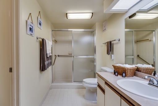 a bathroom with a sink toilet and a shower