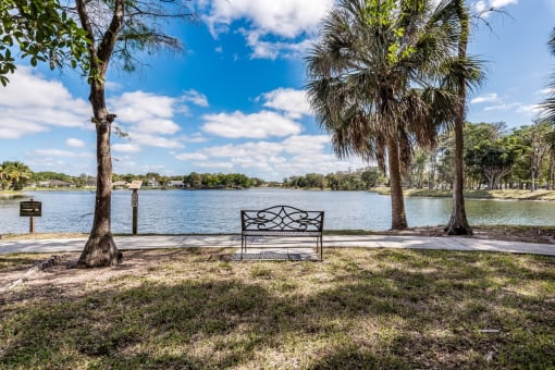 a park bench next to a body of water with palm trees