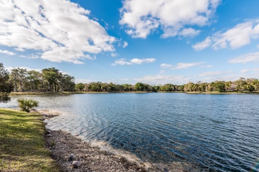 walking path and lake