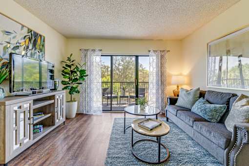 Modern living room at Park Tower - 55+ Active Adult Apartments, Florida, 33319