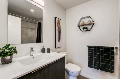 Bathrooms with Modern Finishes  at Southpark, Edmonton, AB, T6E 3S3