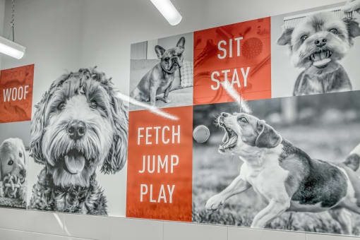 Keep your fur-family smelling fresh at our Dog Spa at Southpark, Edmonton, AB