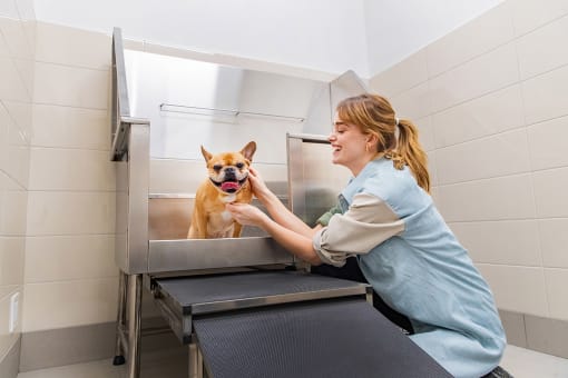 Keep your fur-family smelling fresh at our Dog Spa at Southpark, Edmonton
