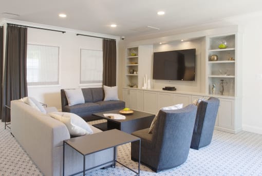 Carriage Pointe at Aquia Living Room 4