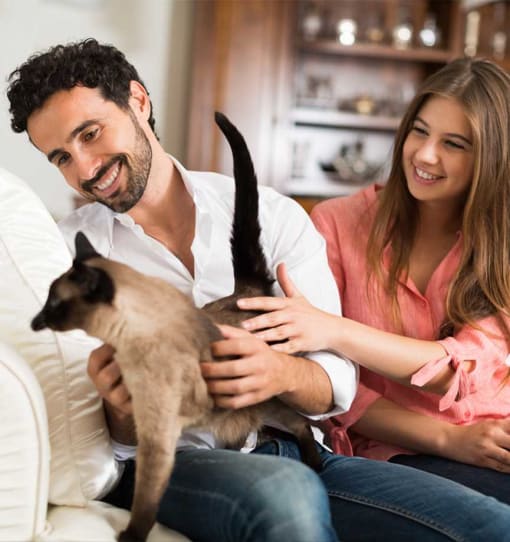 Bristol Village Apartments Pet Friendly