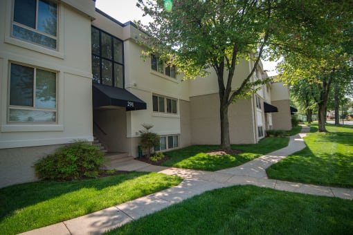 Ashley Apartments Tree-lined Entry Photo