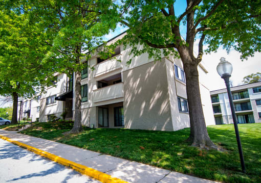 Ashley Apartments Tree-lined Unit Front Photo