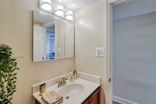 a bathroom with a sink and a mirror and a shower