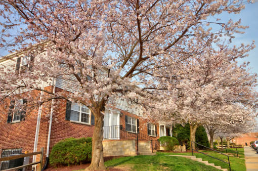 Kingsley Commons Townhouses Property Units