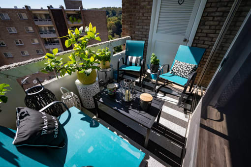 Laurel Village Apartments 2BD Balcony 0018